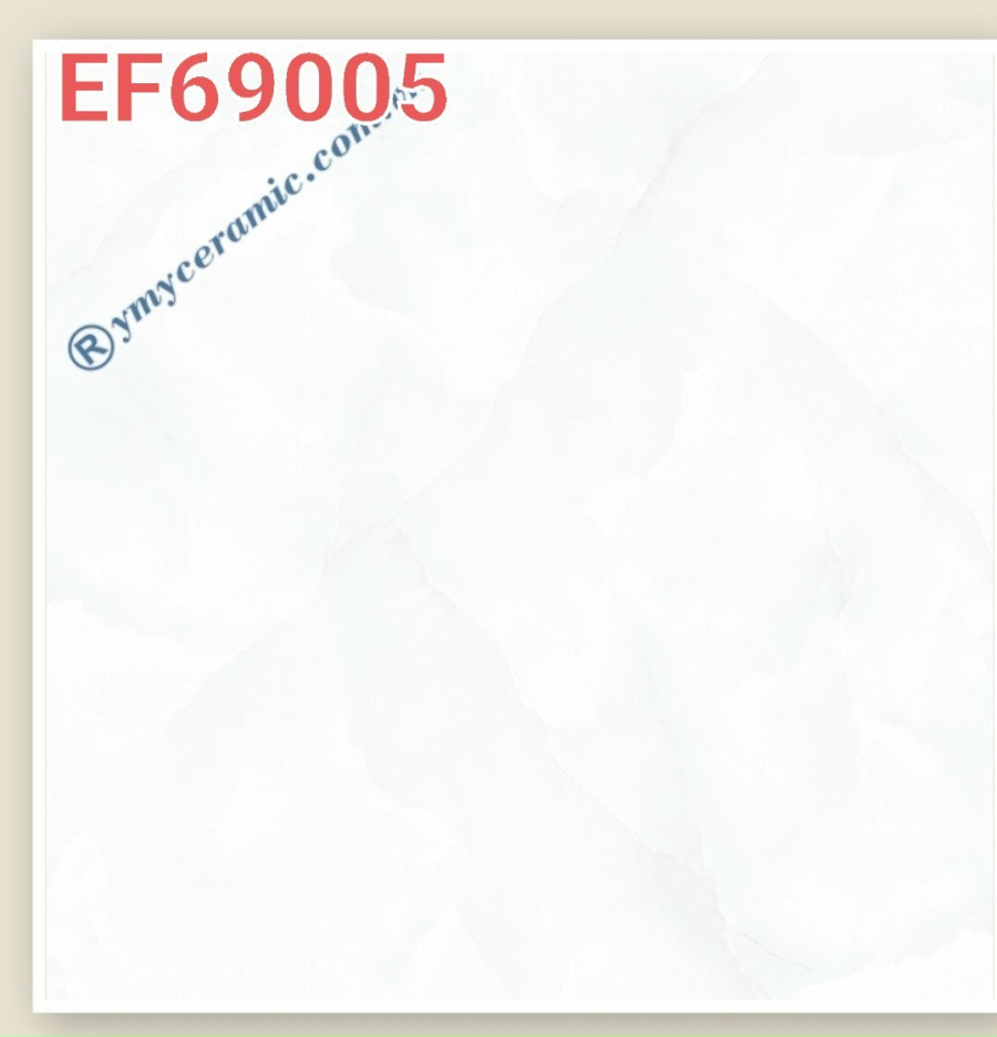 EF69005