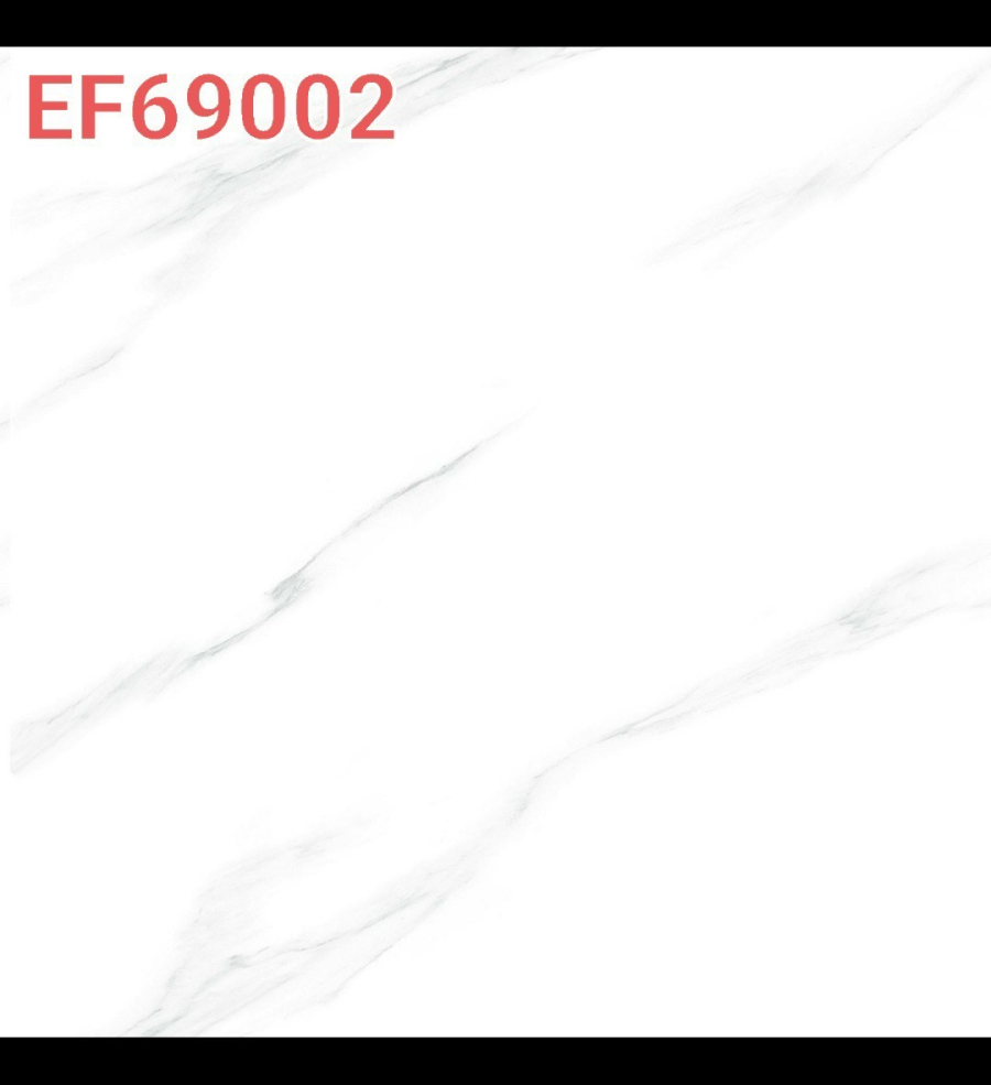 EF69002