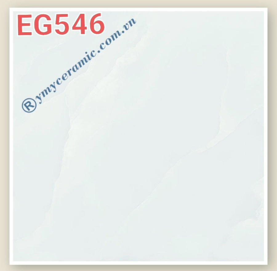 EG546