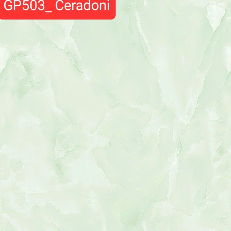 Ceradoni GP503