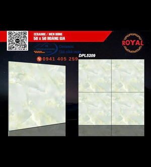 Royal DPL 5209